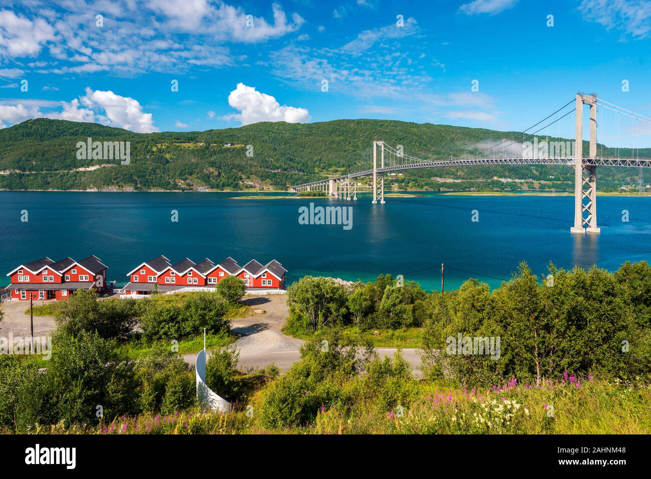 Il ponte Tjeldsund attraverso lo stretto di Tjeldsundet come visto nella direzione di Hinnoya isola in Norvegia. Piante verdi e fiori e alberi di terraferma Foto Stock