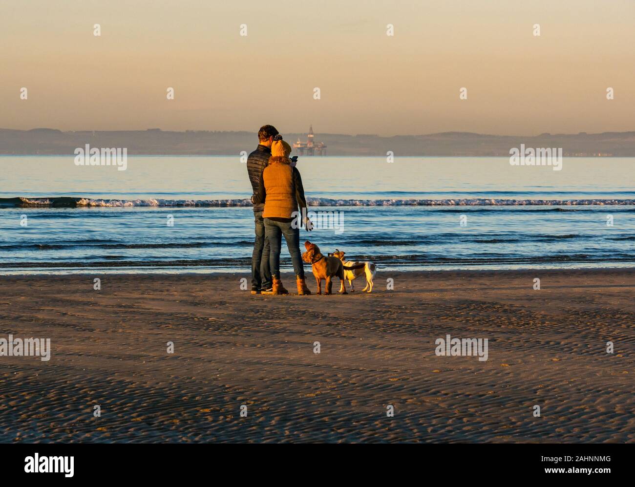 A Aberlady Riserva Naturale, East Lothian, Scozia, Regno Unito, 31 dicembre 2019. Meteo REGNO UNITO: l'anno volge al termine con una bella e soleggiata ma molto freddo giorno sul litorale del Firth of Forth per la Vigilia di Capodanno. Un paio di piedi di cani sulla spiaggia con la bassa marea Foto Stock