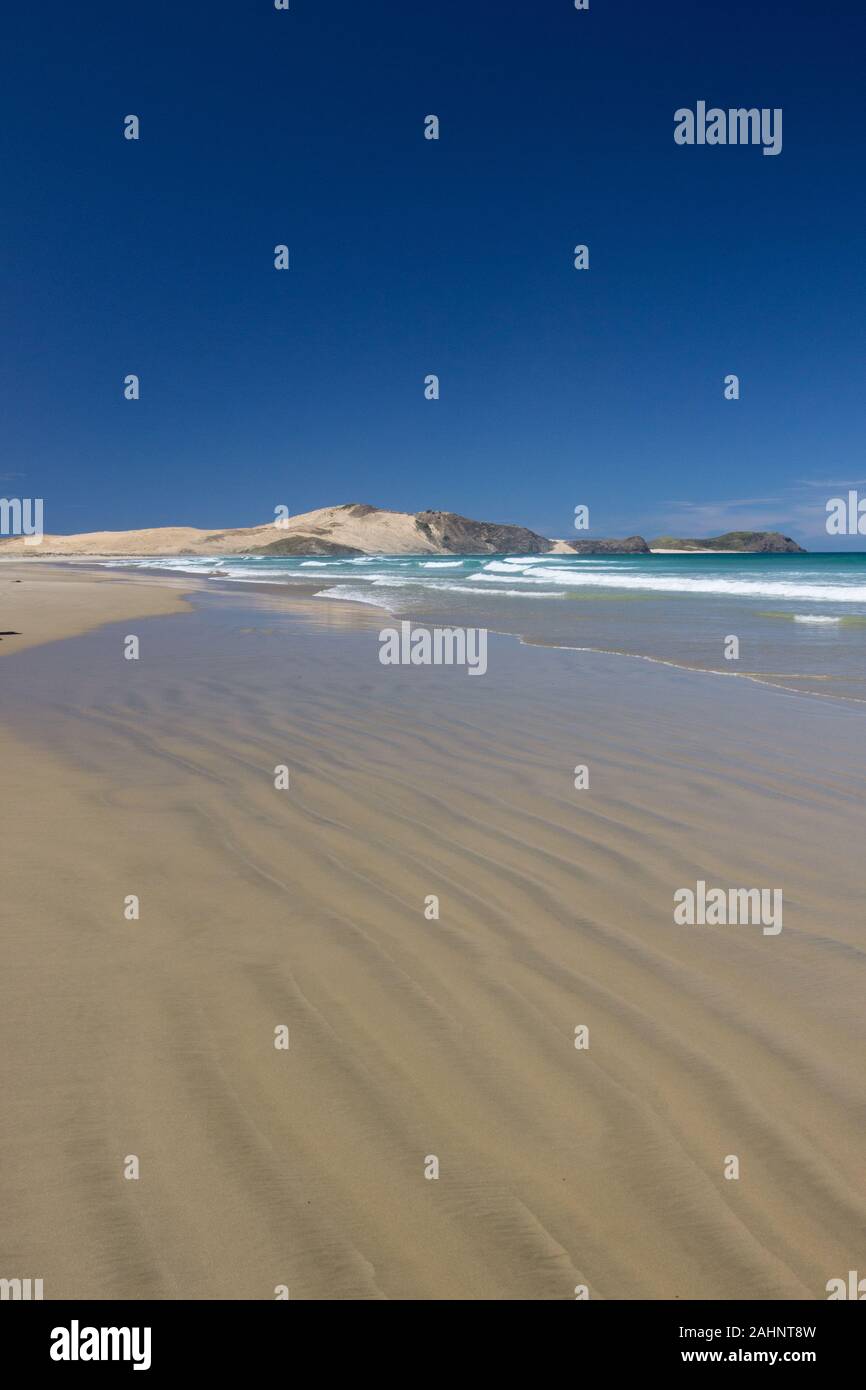 Te Werahi Beach e Cape Maria Van Diemen a Cape Reinga, Northland e Nuova Zelanda. Foto Stock