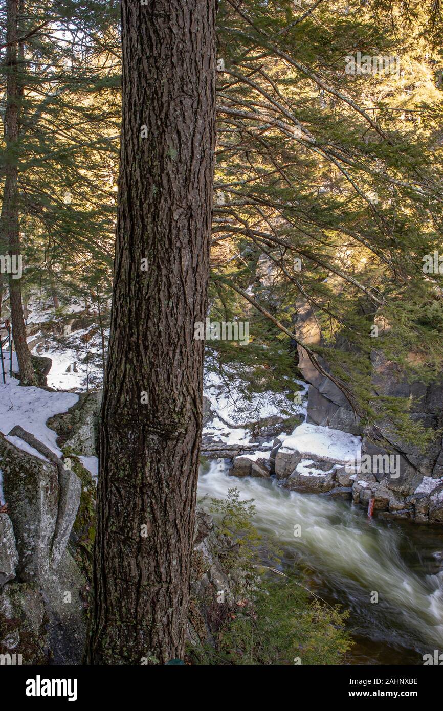 Il Westfield fiume scorre attraverso il Chesterfield Gorge nel West Chesterfield, Massachusetts Foto Stock