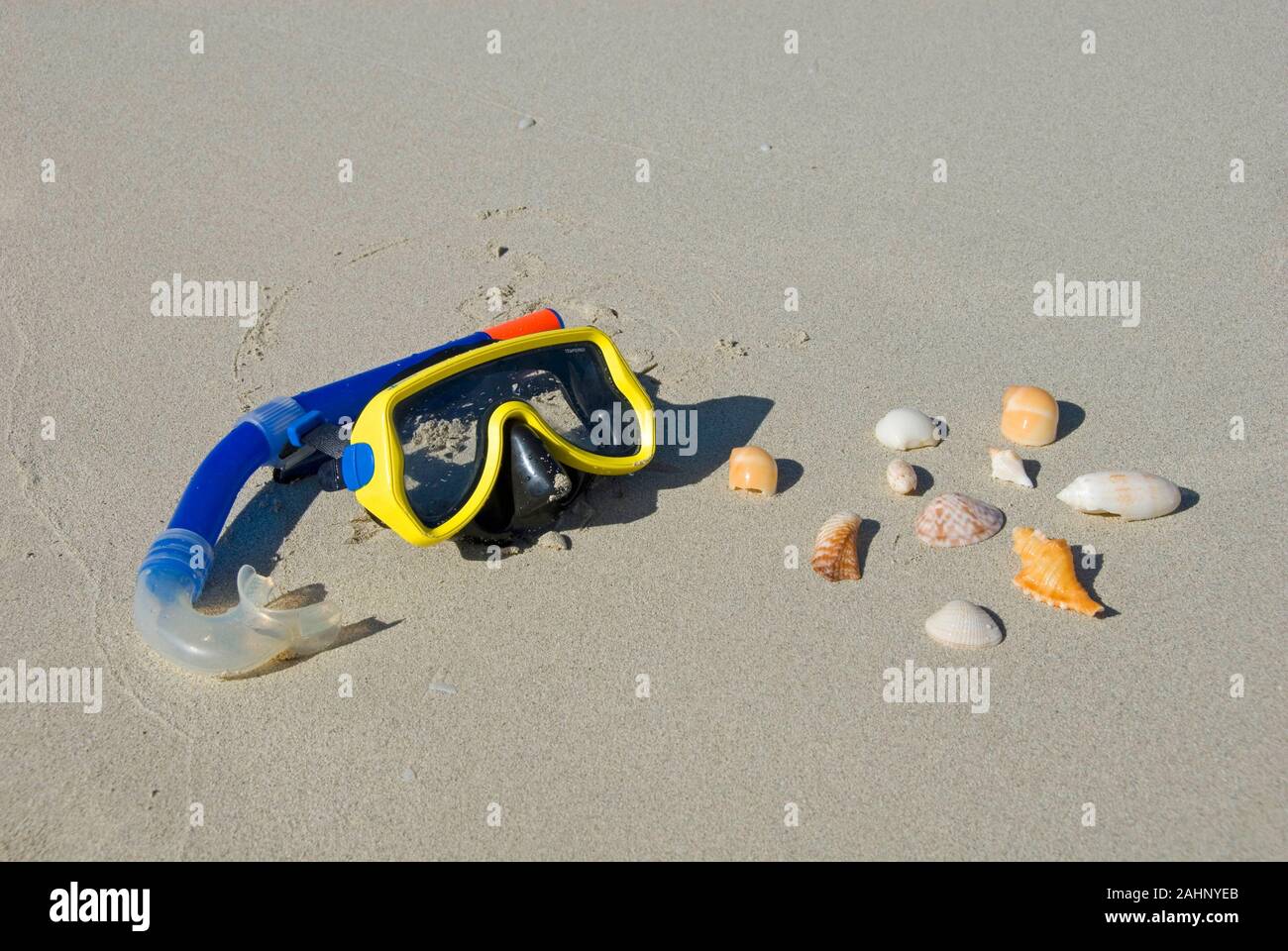 Kuba, Karibik, Varadero, Taucherbrille und Muscheln am Strand Foto Stock