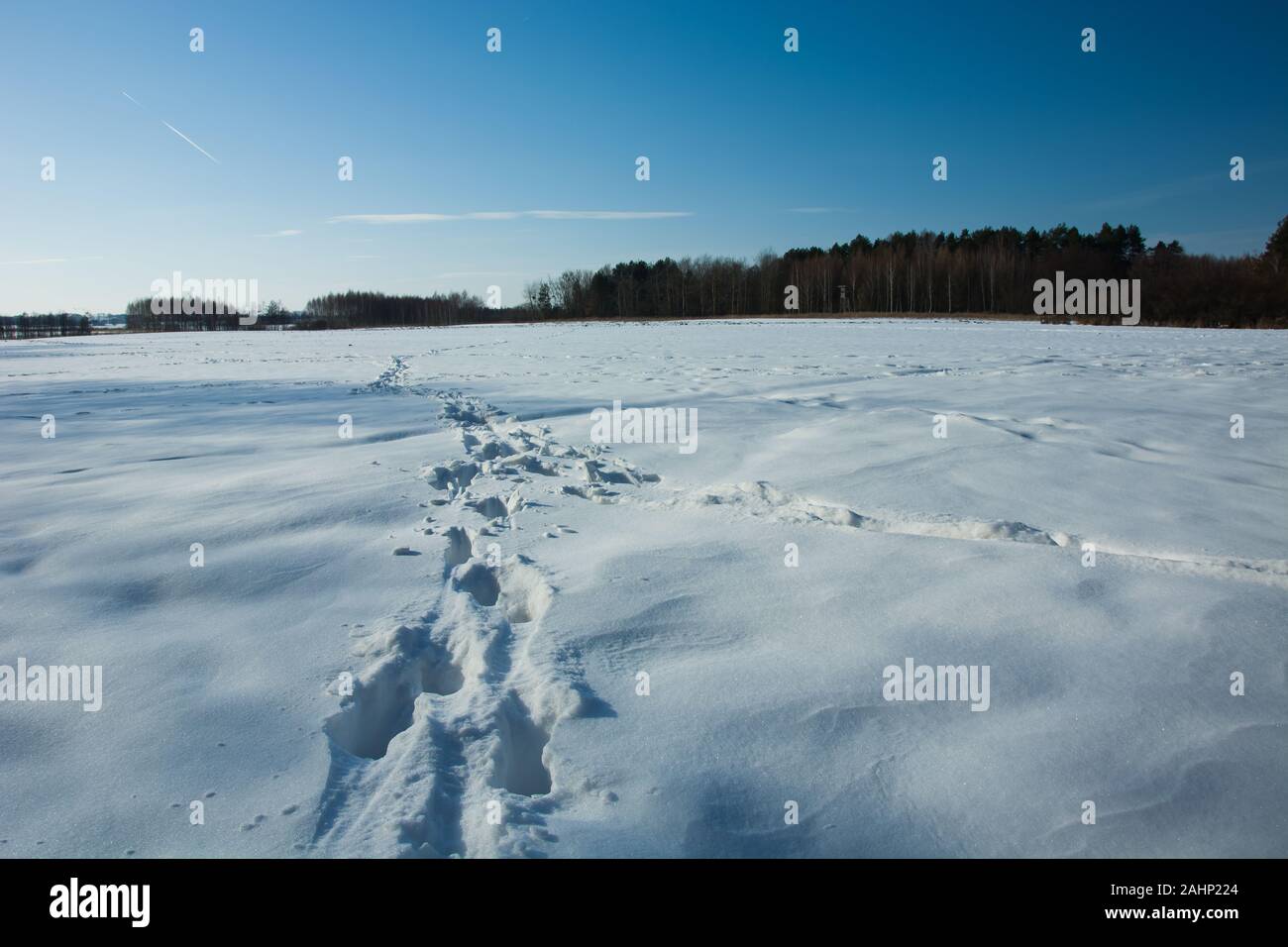 Tracce di neve sul campo, inverno soleggiato giorno Foto Stock