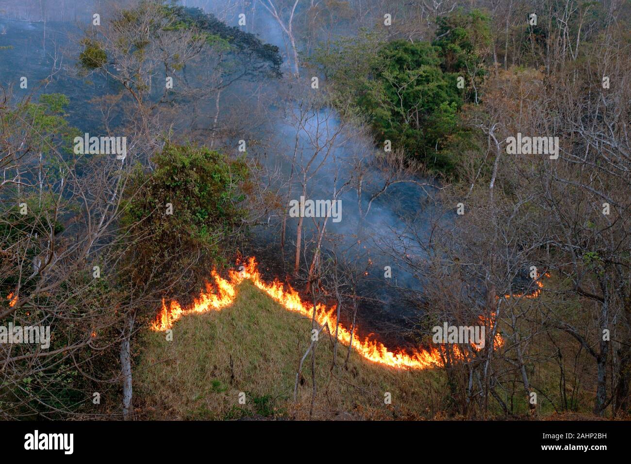 Costa Rica, Feuer im Wald, Brandrodung? Foto Stock