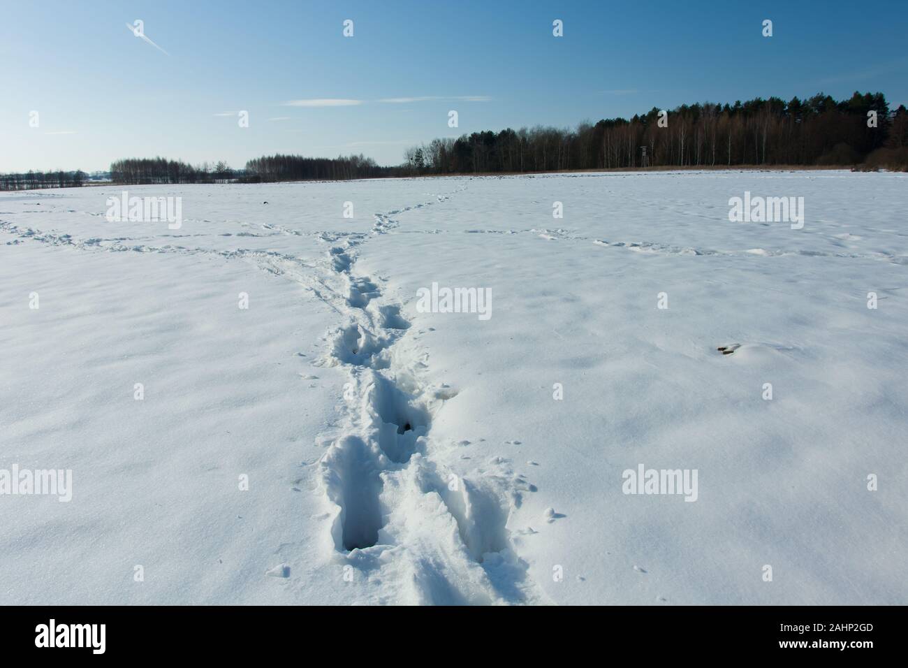 Tracce di neve sul campo, inverno soleggiato giorno Foto Stock