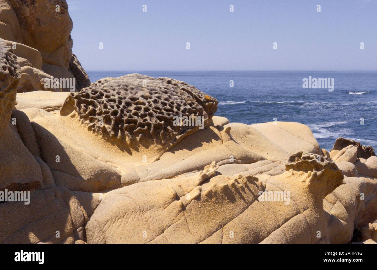 Arenaria intemprata con formazioni tafoni lungo un affioramento costiero lungo l'Oceano Pacifico, modellata dagli agenti atmosferici del sale e dall'erosione del vento. Foto Stock