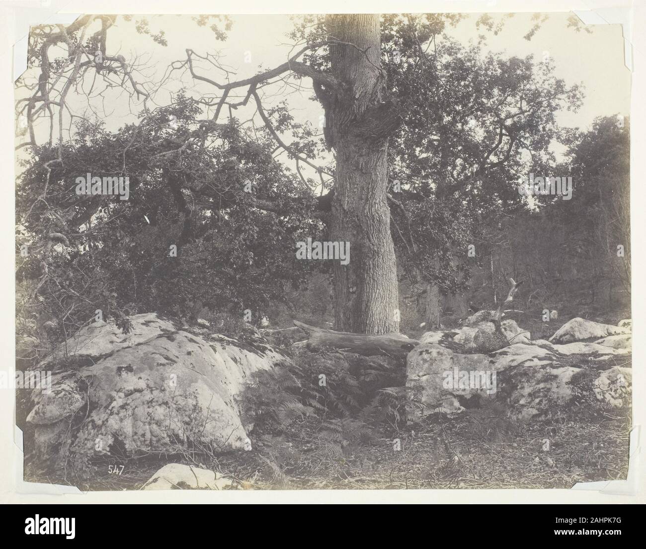 Achille Quinet. Forest e rocce e Fontainebleau. 1860-1869. La Francia. Salate stampa della carta Foto Stock