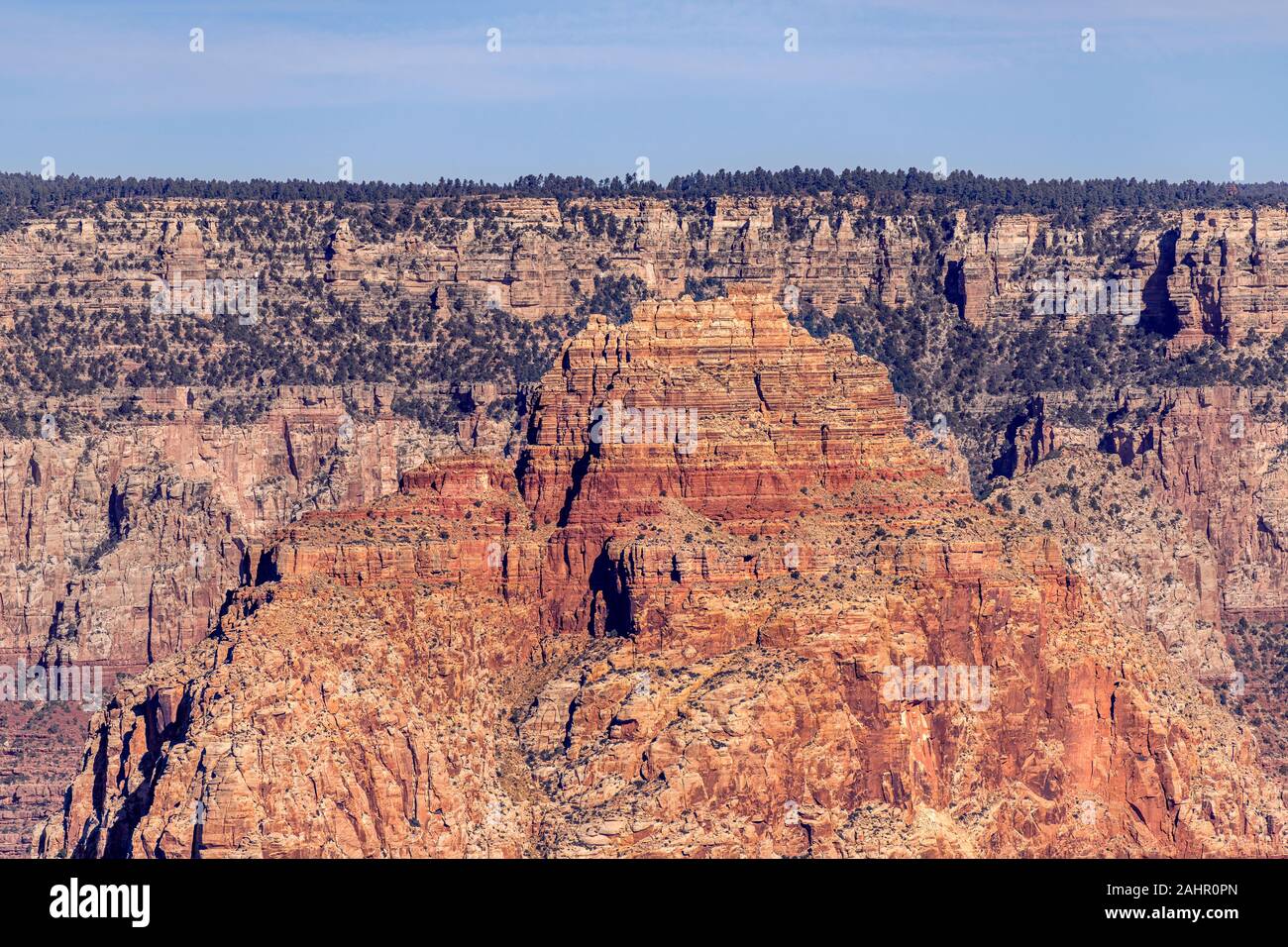 Una drammatica vista panoramica di un altopiano a Moran Point che mostra un Lone Pine Tree in cima alla sporgenza incorniciato da red Grand Canyon rock. Foto Stock