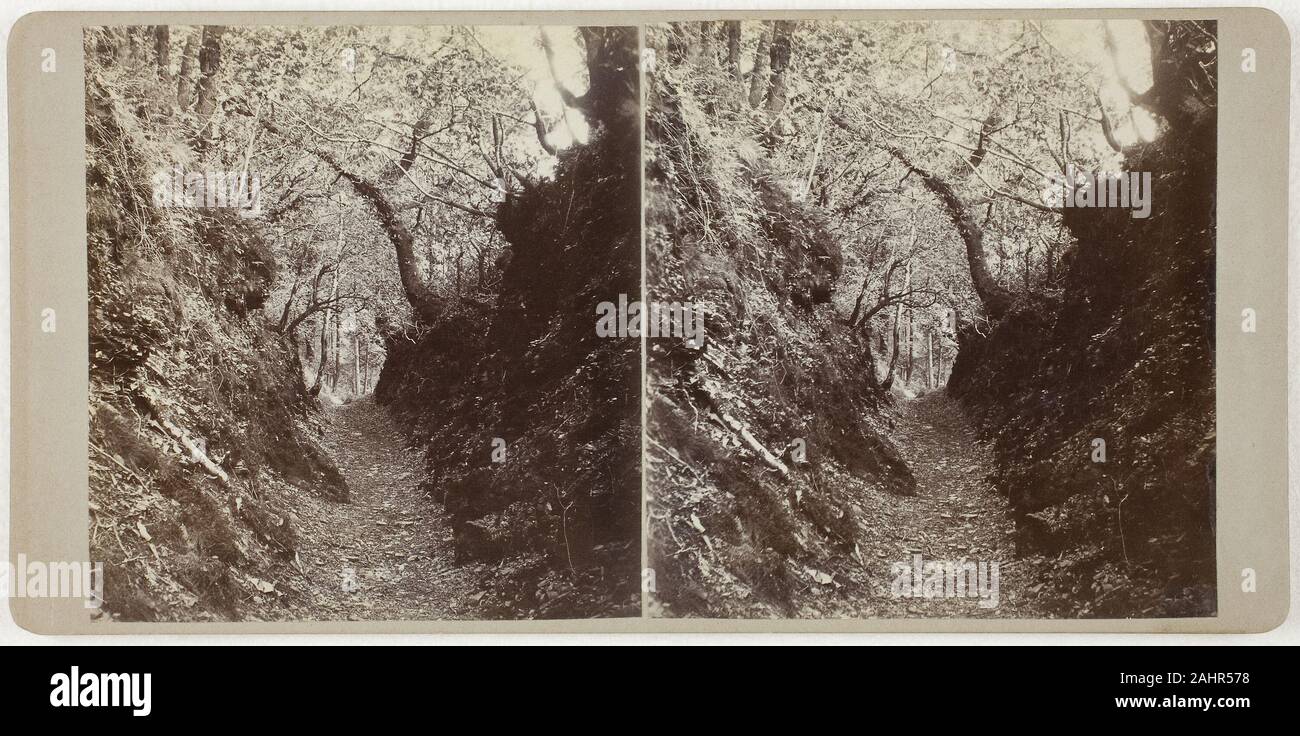 Artista sconosciuto. Untitled (Lydford). 1860-1869. Devon. Albume print, stereo Foto Stock