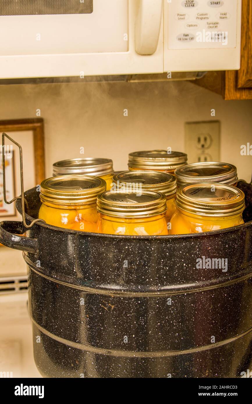 Vasi di pesche in scatola in un cannerthat ha appena terminato l'elaborazione. Prossimo saranno attentamente rimosso e collocato su un asciugamano per raffreddare. Foto Stock