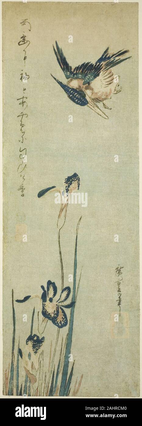 Utagawa Hiroshige. Kingfisher e iris. 1830-1839. Il Giappone. Colore stampa woodblock; chutanzaku Foto Stock Utagawa Hiroshige. Kingfisher e iris. 1830-1839. Il Giappone. Colore stampa woodblock; chutanzaku Foto Stock