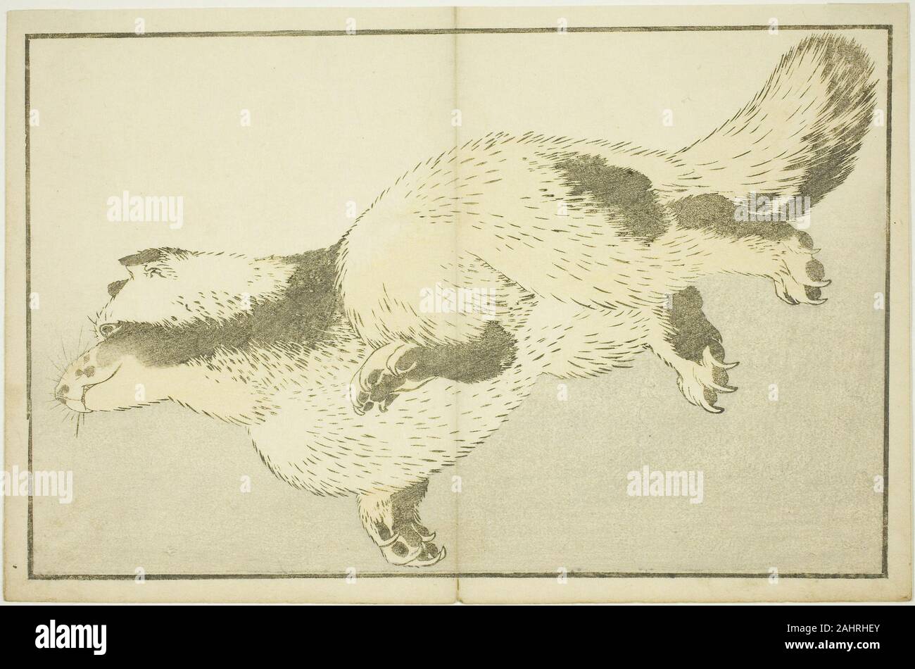 Katsushika Hokusai. Fox, dal Libro immagini della pittura realistica di Hokusai (Hokusai monica gafu). 1809-1819. Il Giappone. Colore stampa woodblock (album) foglio Foto Stock