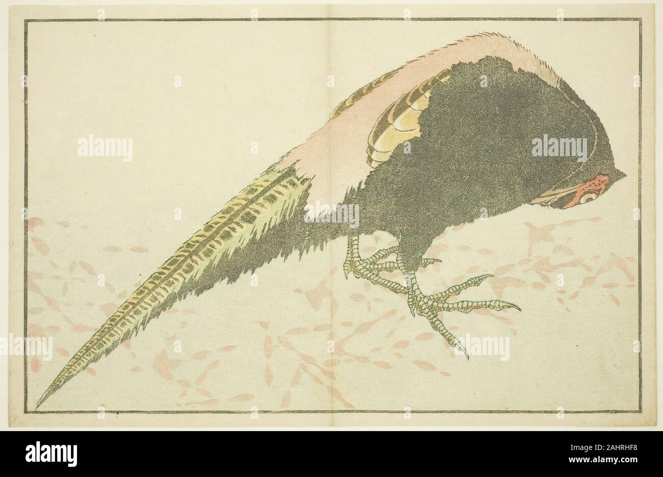 Katsushika Hokusai. Fagiano maschio, dal Libro immagini della pittura realistica di Hokusai (Hokusai monica gafu). 1809-1819. Il Giappone. Colore stampa woodblock (album) foglio Foto Stock Katsushika Hokusai. Fagiano maschio, dal Libro immagini della pittura realistica di Hokusai (Hokusai monica gafu). 1809-1819. Il Giappone. Colore stampa woodblock (album) foglio Foto Stock