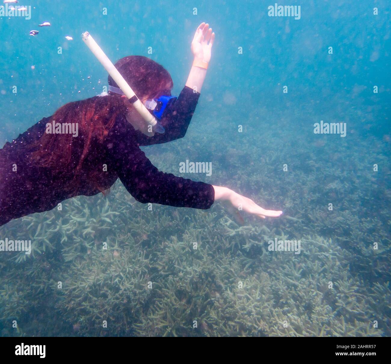 Intenzionalmente SFOCATE PER PROTEGGERE IDENTITY - una femmina non identificato snorkeler nuota in vista nella torbida acqua torbida su una bassa scogliera di corallo a bassa marea Foto Stock