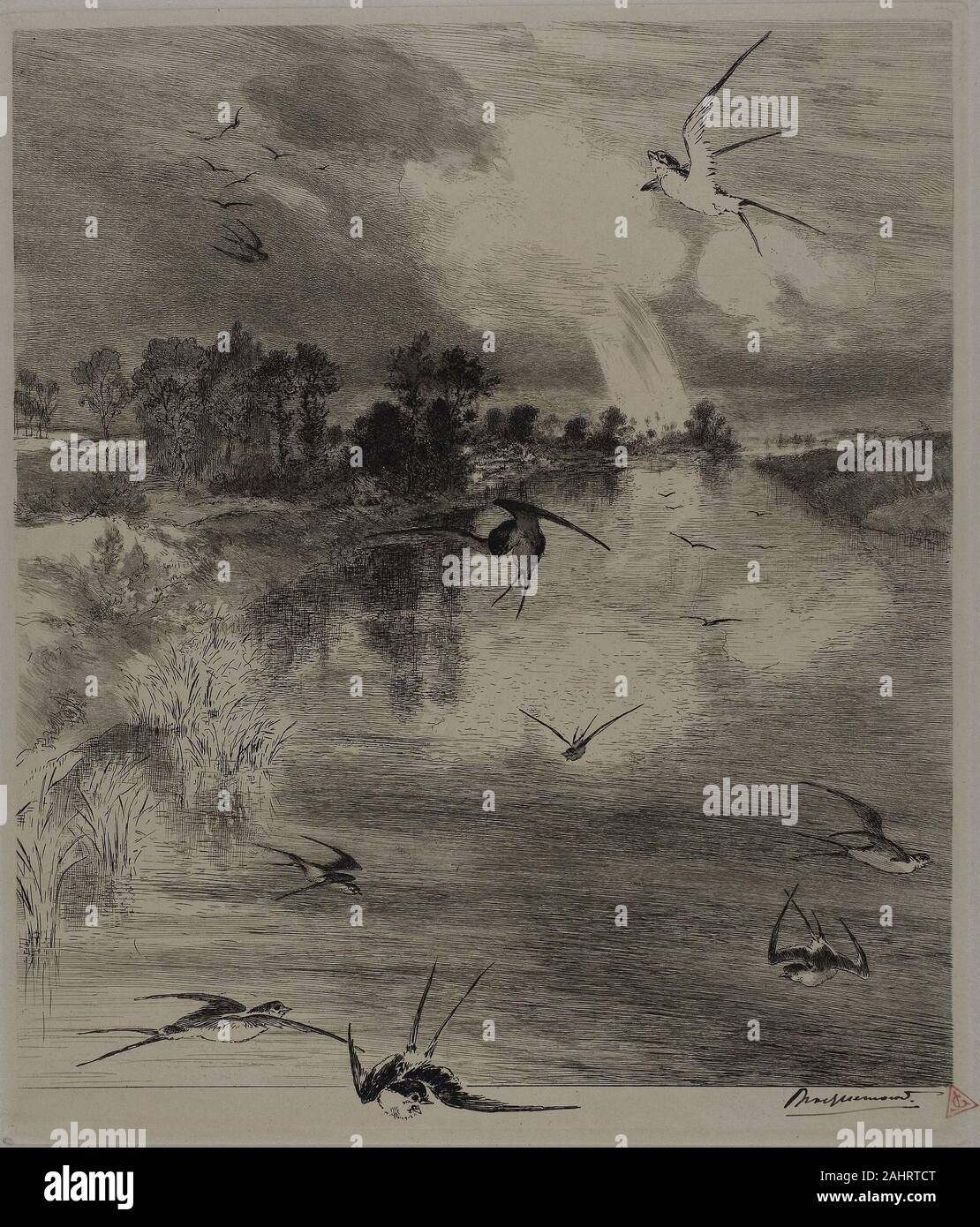 Félix Bracquemond Henri. Rondini. 1882. La Francia. Incisione e puntasecca su avorio di cui la carta Foto Stock Félix Bracquemond Henri. Rondini. 1882. La Francia. Incisione e puntasecca su avorio di cui la carta Foto Stock