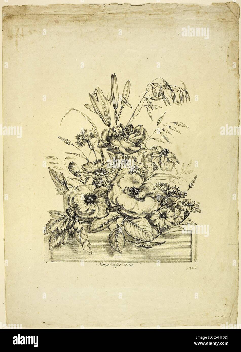 Johann Nepomuk Mayrhoffer. Pezzo di fiori. 1784-1832. Germania. Incisione in nero su carta Foto Stock