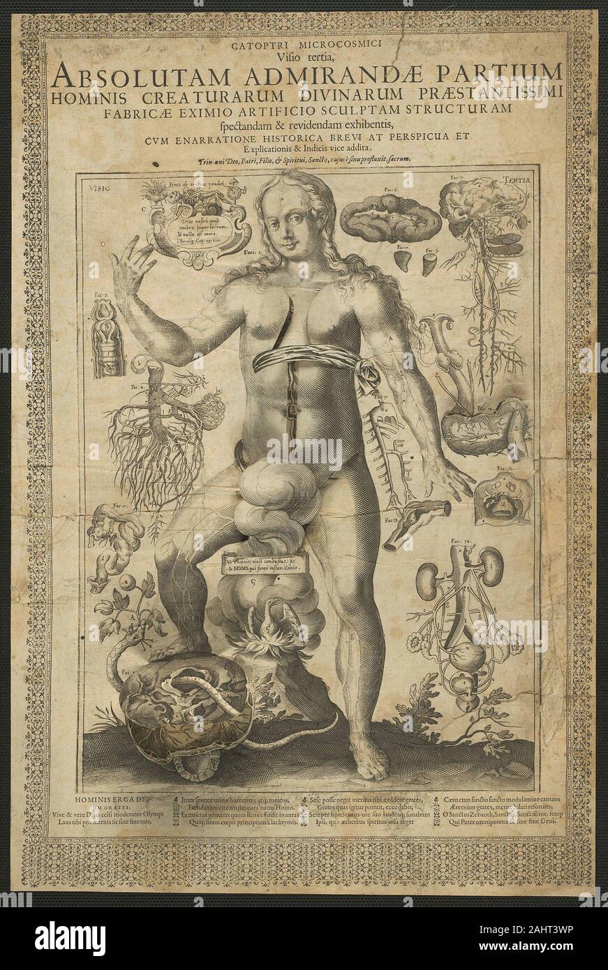Lucas Kilian. Terza visione, da specchi del microcosmo. 1613. Germania. Incisione su avorio di cui carta (scolorito di crema), tagliato con incisione su avorio di cui i componenti della carta, stabilite in rilievografia avorio stampato carta vergata, e montati sulla crema carta intessuta di questo trio (1944.461, 1944.462, 1944.521) di inciso, è inciso e stampa tipografica-stampato quotidiani di grande diffusione anatomica da Augsburg artista Lucas Kilian vantano oltre un centinaio di sovrapposizione di lembi di organo. Lo spettatore può sezionare il suo maschio e femmina cadaveri come un medico educativo esercizio o per pura curiosità morbosa. Il primo foglio, o Foto Stock