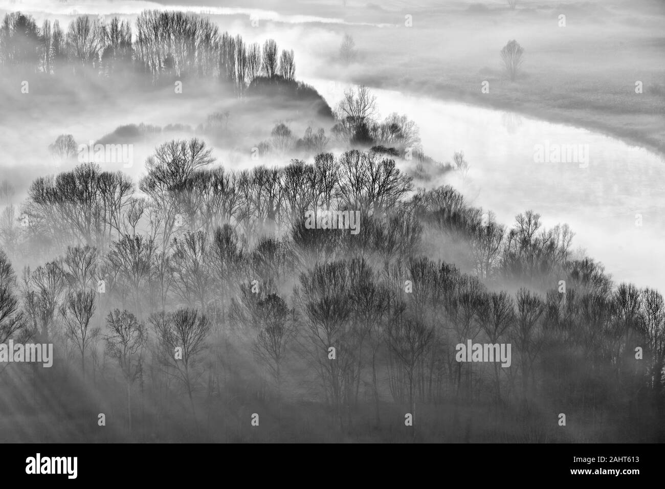 Sunrise oltre il Bosco nebbioso, la fotografia in bianco e nero Foto Stock