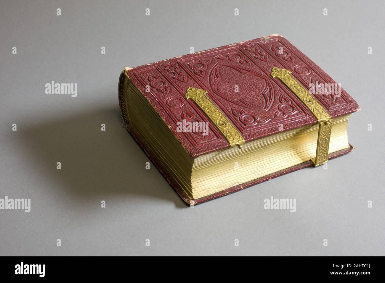 Sconosciuto. Album in stile vittoriano. 1860-1869. L'Europa. Albume stampe (48) Foto Stock