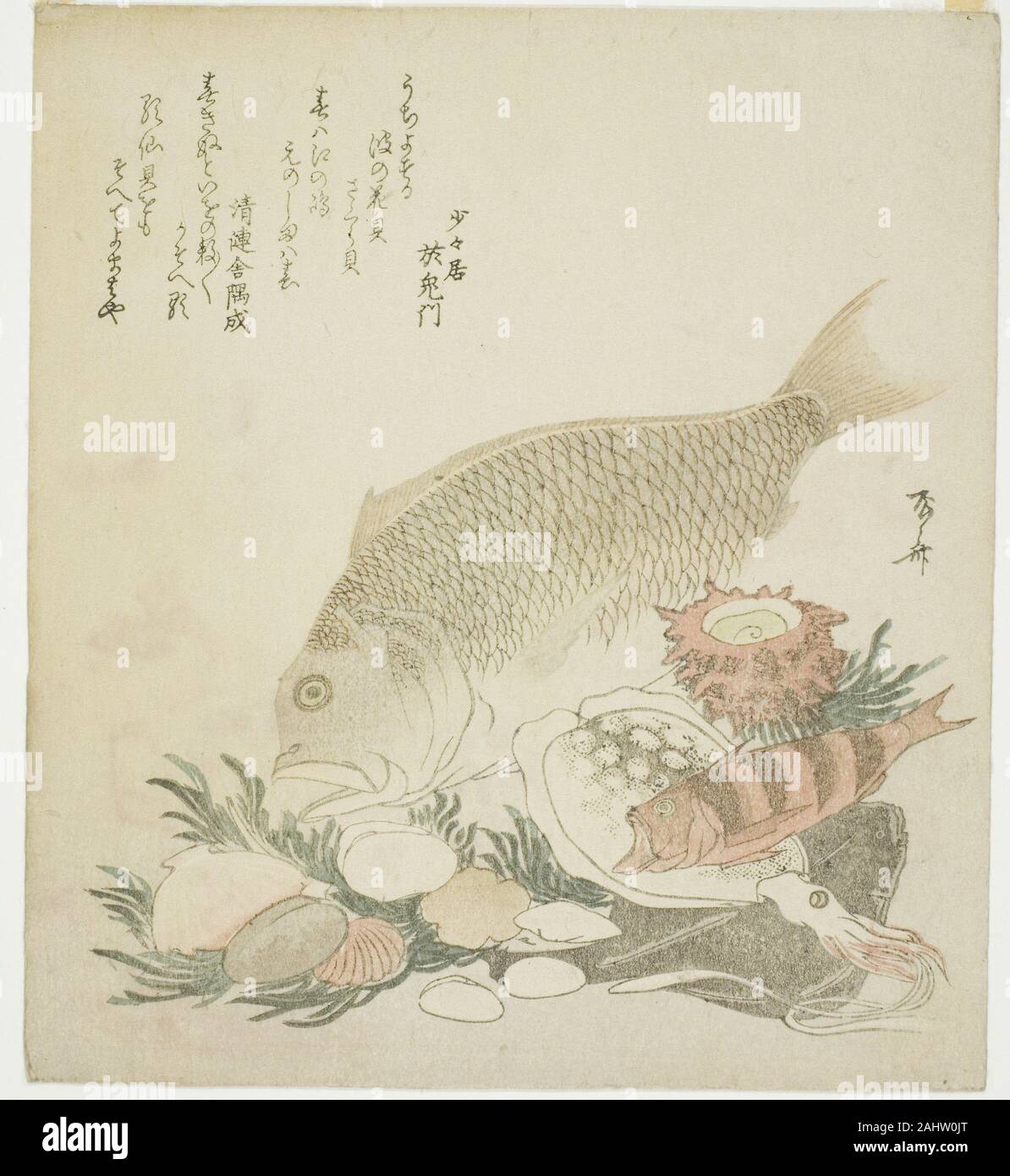Ryuryukyo Shinsai. Pesci e conchiglie. 1821. Il Giappone. Colore stampa woodblock; shikishiban, surimono Foto Stock