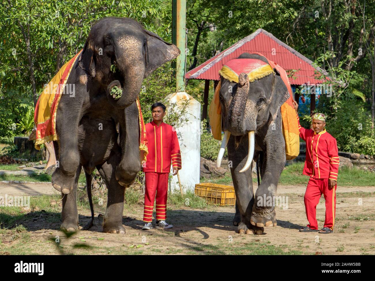 SAMUT PRAKAN, Thailandia, 18 maggio 2019, le prestazioni di un elefante addestrato in Thai Zoo. Tradizionale mostra con elefante a scena aperta. Foto Stock
