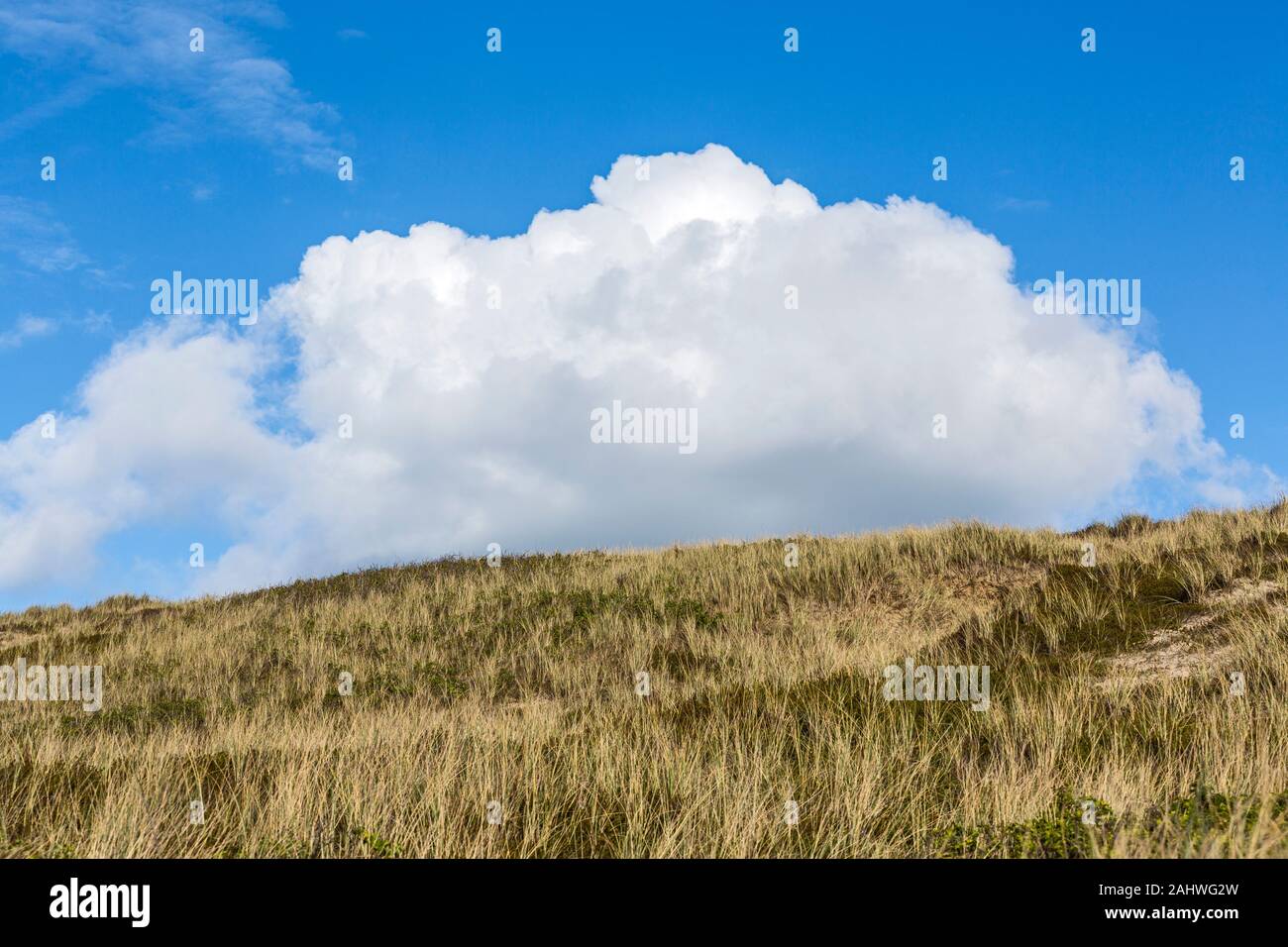 Dünen, blauer Himmel, Wolken, Wenningstedt; Sylt, Schleswig-Holstein, Germania Foto Stock
