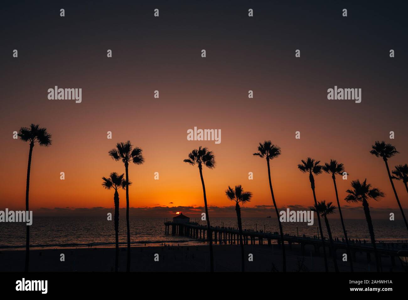 Alberi di palma e il molo al tramonto, a Manhattan Beach in California Foto Stock
