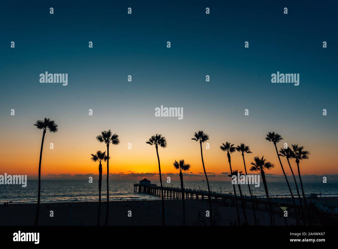 Palme al tramonto a Manhattan Beach in California Foto Stock