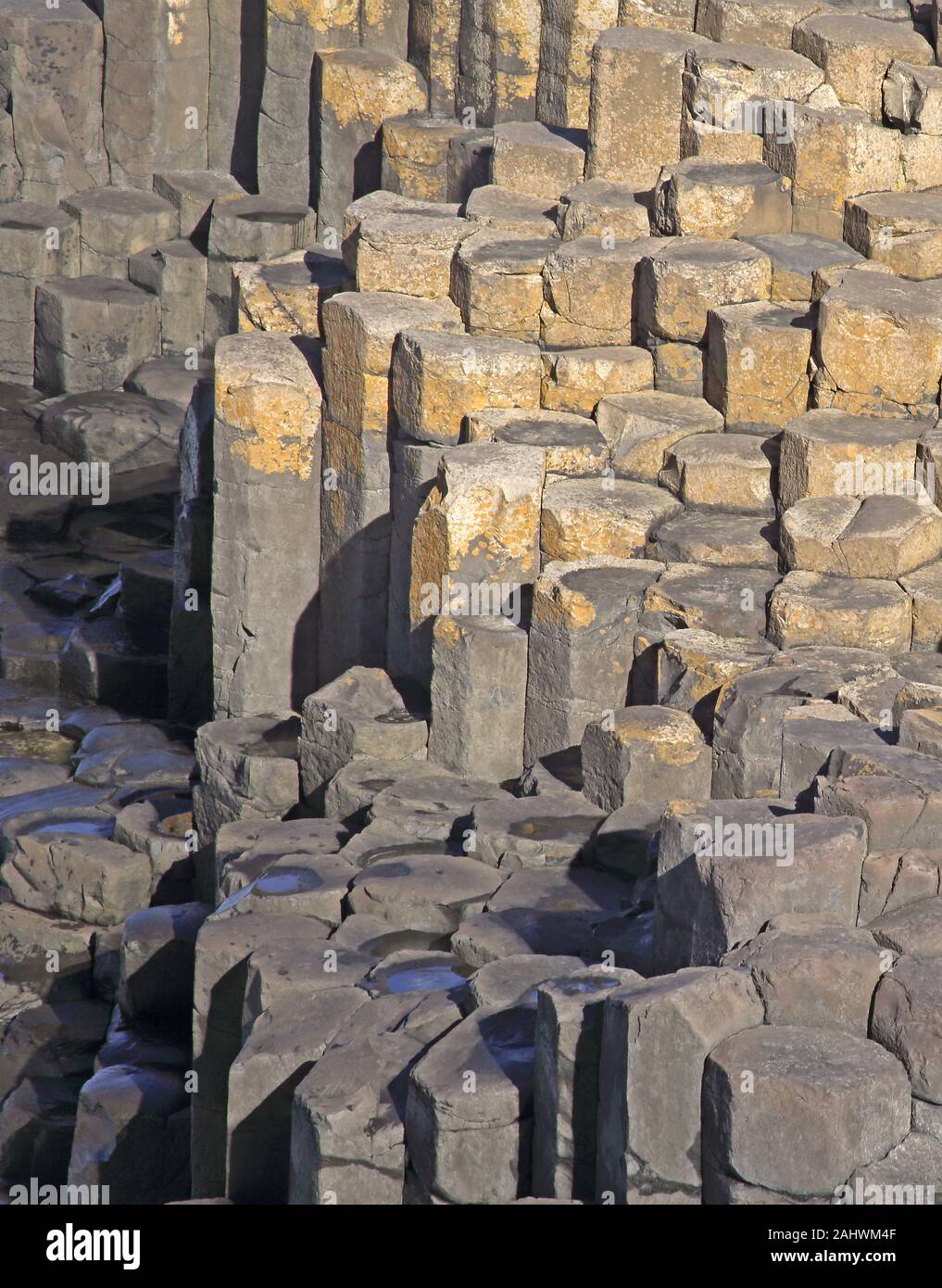 Massicce colonne di basalto e pietre miliari della Giant's Causeway, County Antrim, Irlanda del Nord, Regno Unito. Foto Stock