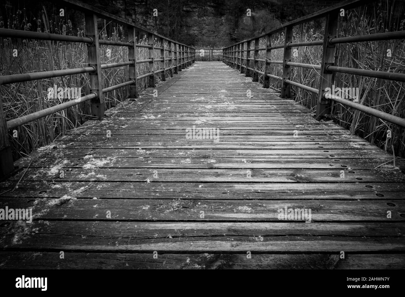 Passerella fiancheggiata da barre di ferro in bianco e nero Foto Stock