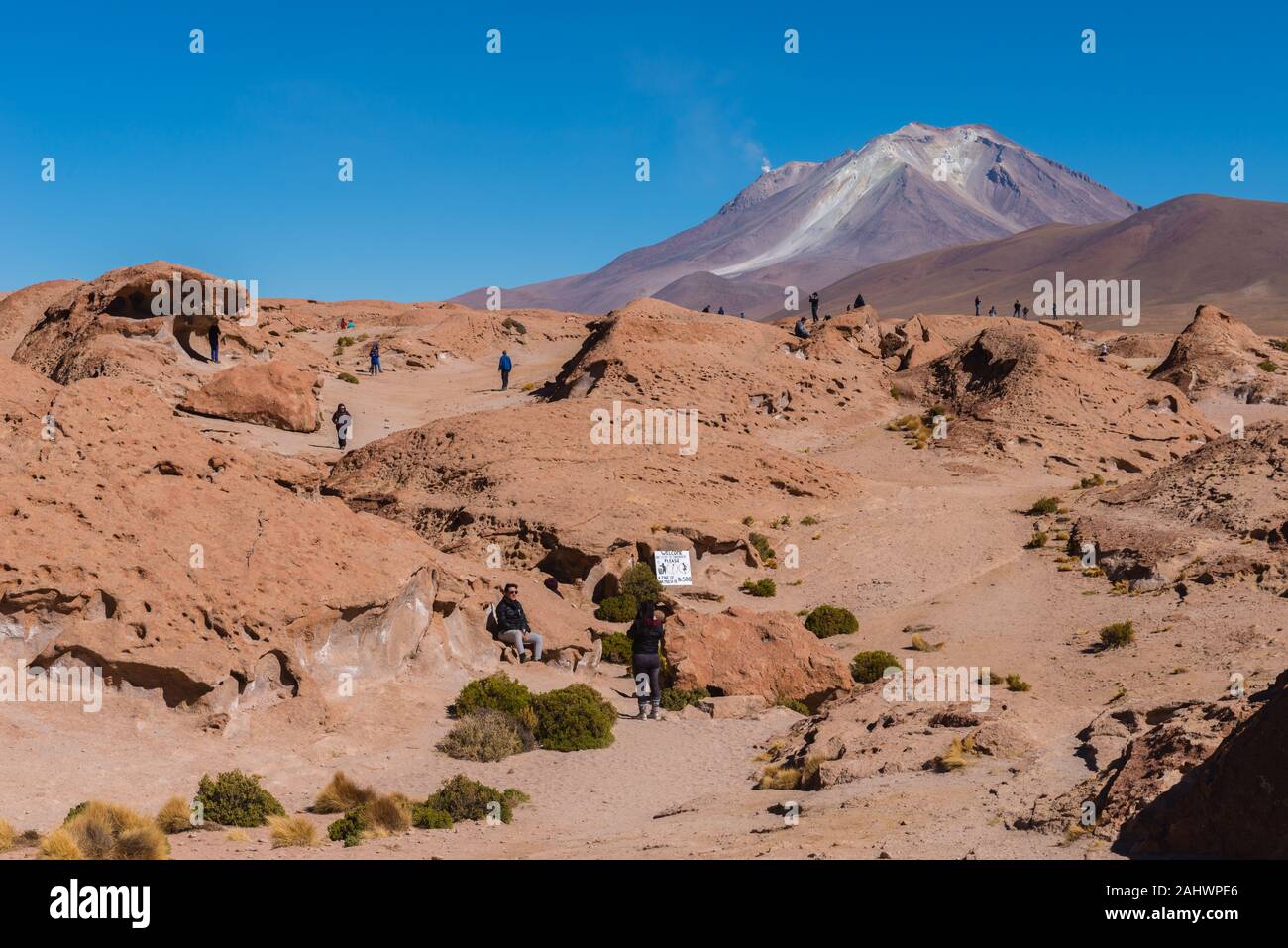 Mirador Volcán Ollagüe o punto di vista vulcano Ollagüe, Avaroa, montagne delle Ande, Bolivia, latino Amreica Foto Stock
