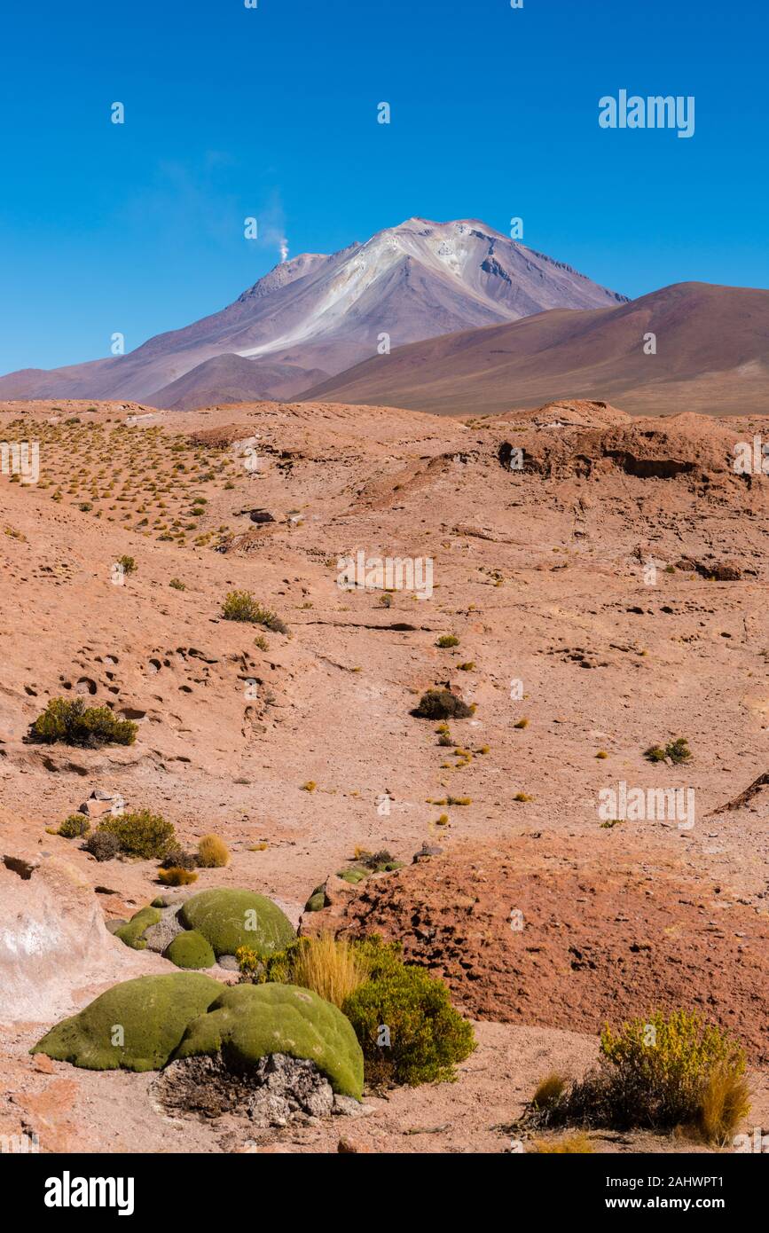 Mirador Volcán Ollagüe o punto di vista vulcano Ollagüe, Avaroa, montagne delle Ande, Bolivia, latino Amreica Foto Stock