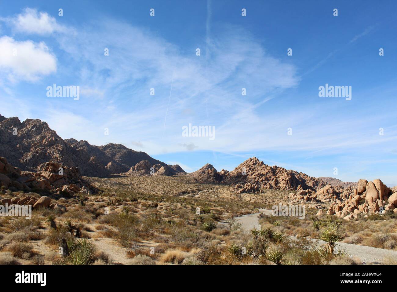 Questa strada, attraverso Indian Cove di Joshua Tree National Park, è fiancheggiato da una pianta nativa delle comunità del sud del Deserto Mojave. Foto Stock