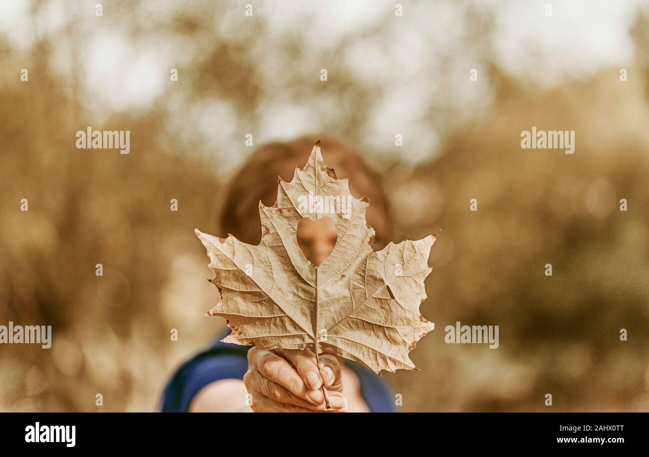 La donna senior con camicia blu e a forma di cuore maple leaf. Concetto di autunno. Messa a fuoco selettiva Foto Stock