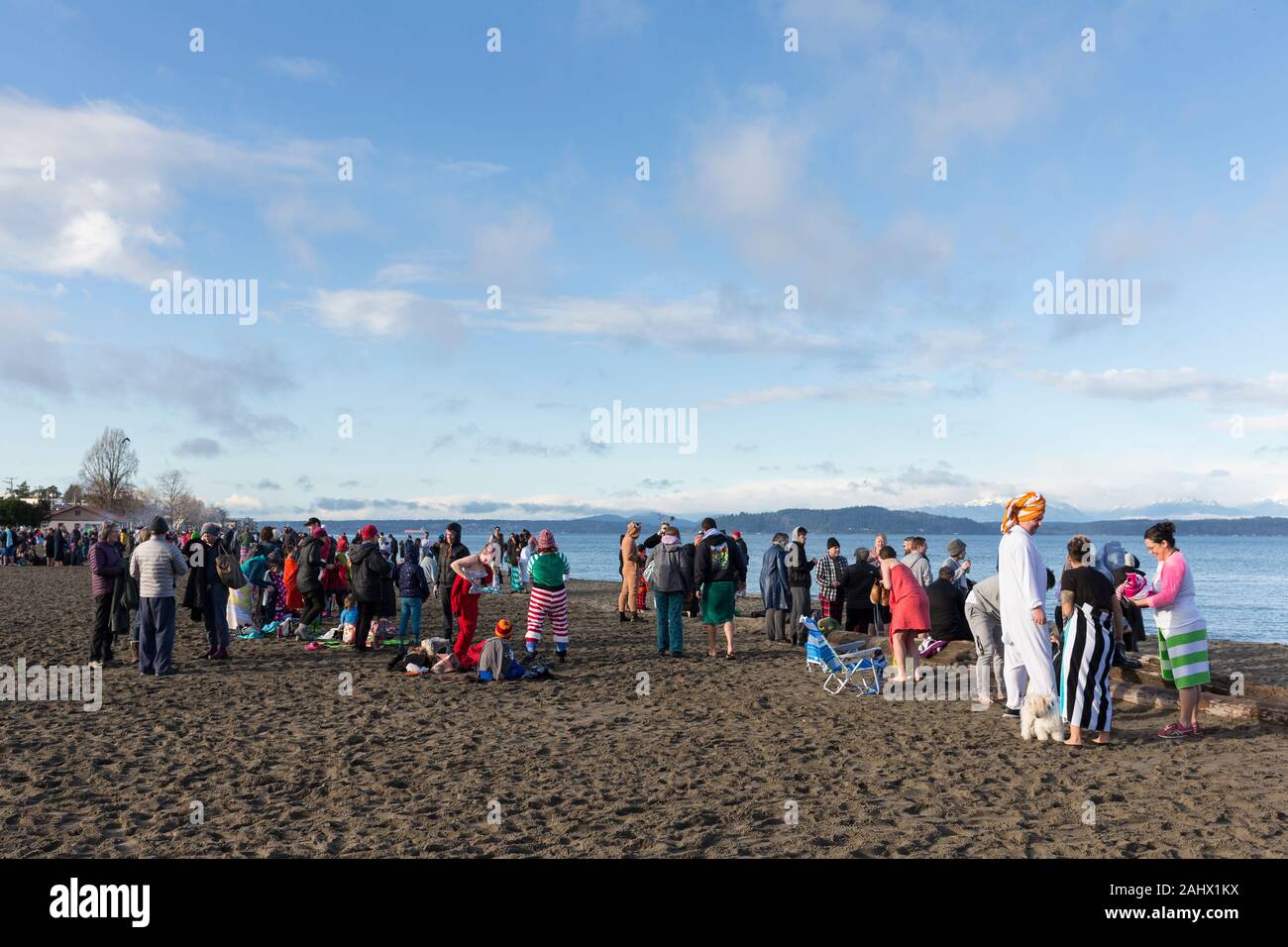 Centinaia si sono riuniti per l annuale West Seattle Orso Polare nuotare a Alki Beach Park Mercoledì, 1 gennaio 2020. Le temperature miti hanno ispirato molti a prendere il tuffo per la prima volta. Foto Stock