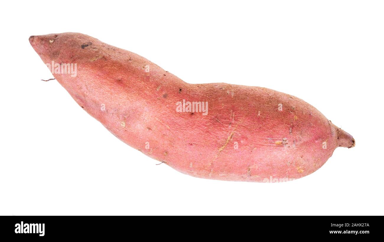 Sola patata dolce (Ipomoea batatas, batata) tubero intaglio su sfondo bianco Foto Stock