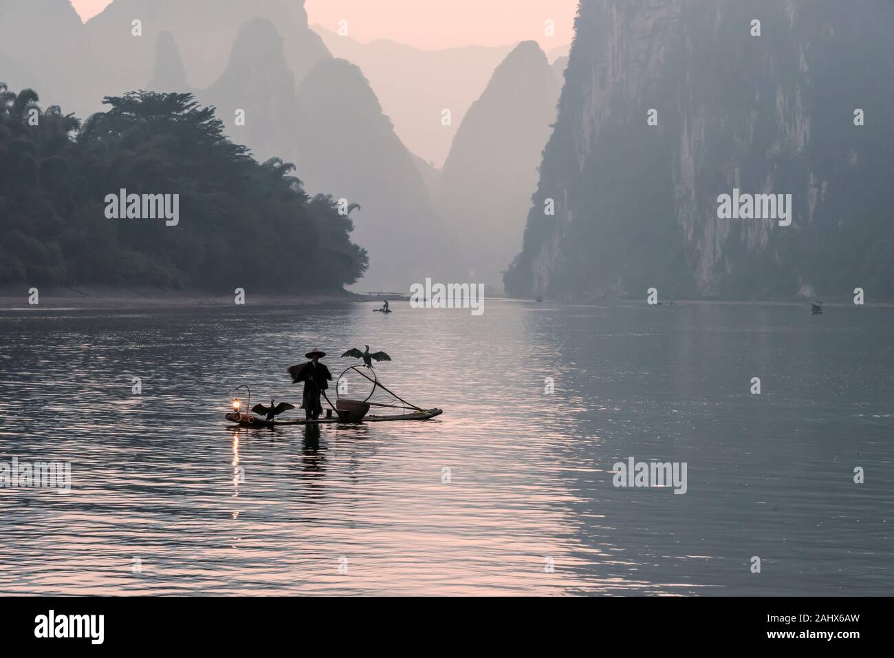 Cormorani da pesca che asciugano le loro ali, li River, Xingping, Guilin, Cina Foto Stock