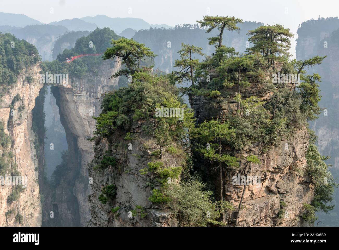 Pilastro di arenaria e ponte naturale, Parco Nazionale Zhangiajie, Provincia di Hunnan, Cina Foto Stock