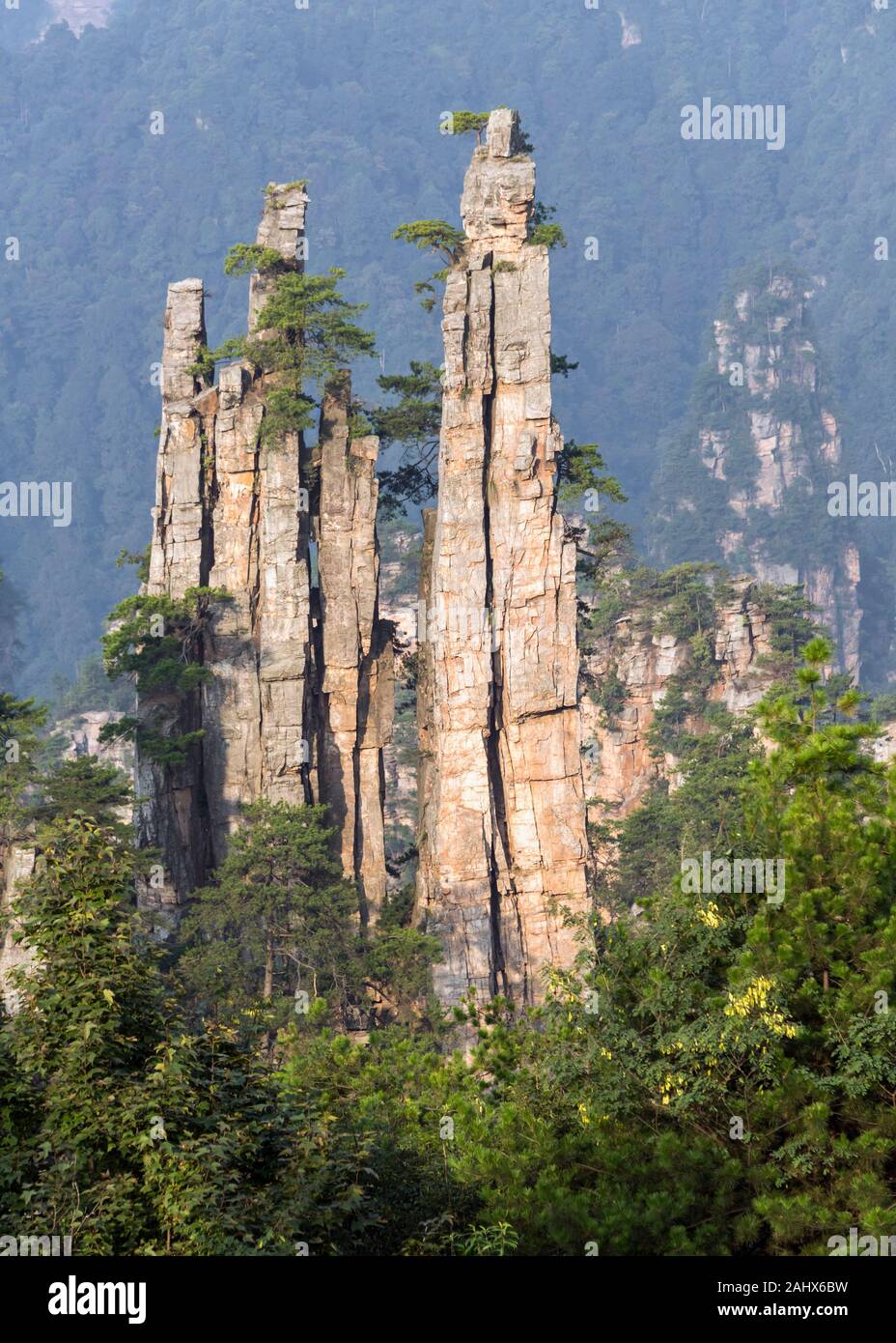 Ripidi Pilastri In Arenaria, Zhangiajie National Park, Hunnan, Cina Foto Stock