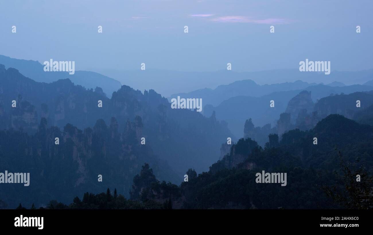 Parco Nazionale di Zhangiajie al mattino in luce blu, UNESCO, Provincia di Hunnan, Cina Foto Stock