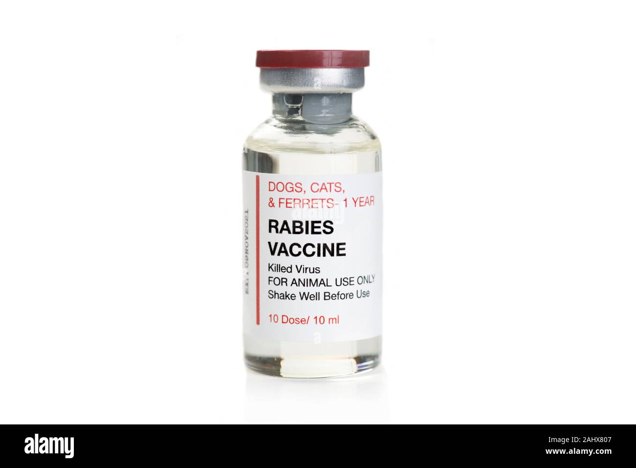 Rabbia flaconcino di vaccino isolati su sfondo bianco. Foto Stock