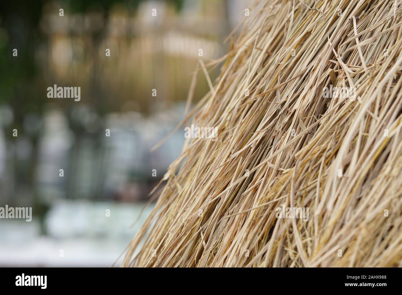 Pila di paglia secca sullo sfondo della natura Foto Stock