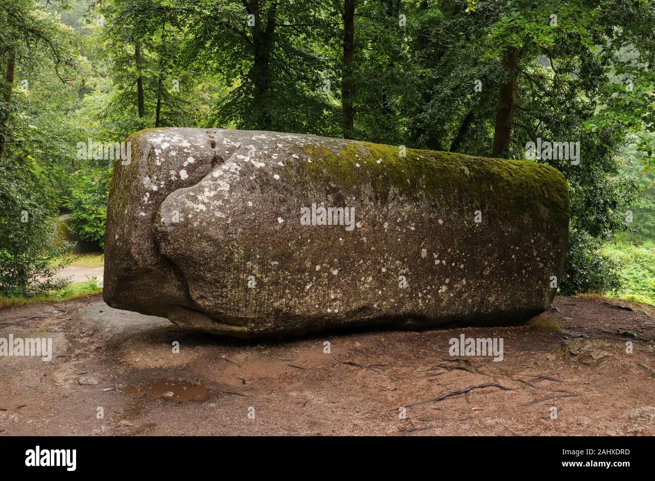 La Roche Tremblante o tremore Rock - equilibrata boulder, del peso di 137 tonnellate nella foresta di Huelgoat in Bretagna, Francia Foto Stock