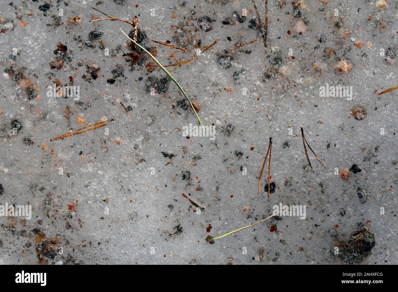 Neve sporca in un primo piano durante la primavera in Finlandia. In questa foto si può vedere la neve che si scioglie, alcune piccole rocce, piante pezzi e altre debri. Colore. Foto Stock