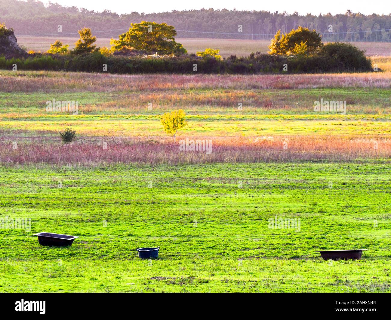 Lansdscape rurale nella regione Umbria - Italia Foto Stock