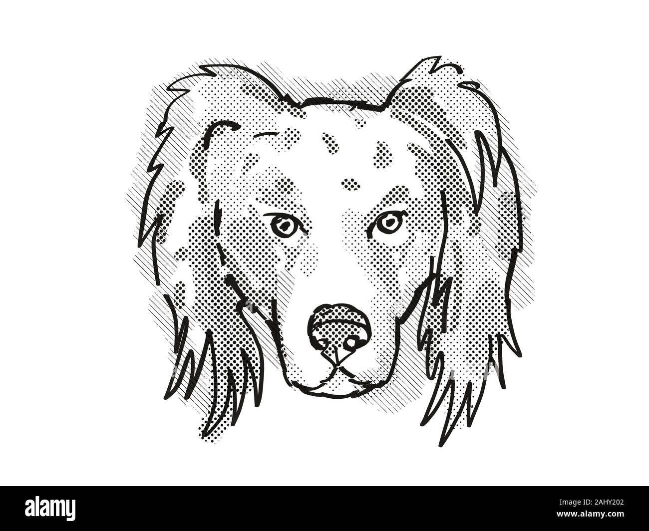 Rétro in stile cartoon disegno della testa di un pastore australiano cane ,  un cane domestico o