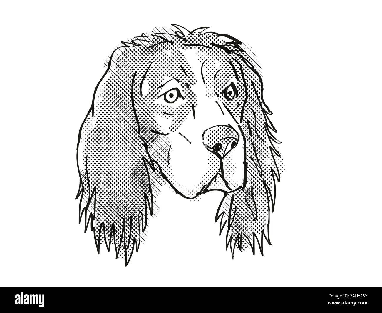 Retro In Stile Cartoon Disegno Della Testa Di Un Setter Inglese Un Cane Domestico O Di Razza Canina Isolato Su Sfondo Bianco Fatto In Bianco E Nero Foto Stock Alamy