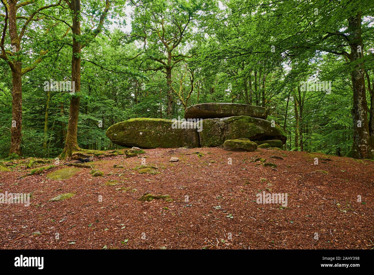 Francia, Borgogna, Nièvre (58), il parco del Morvan, Chevresse Dolmen Foto Stock