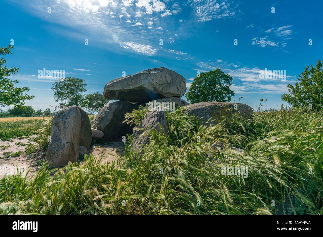 Preistorici tombe megalitiche Garz 2 in un campo di mais vicino a Rerik/costa baltica. Foto Stock