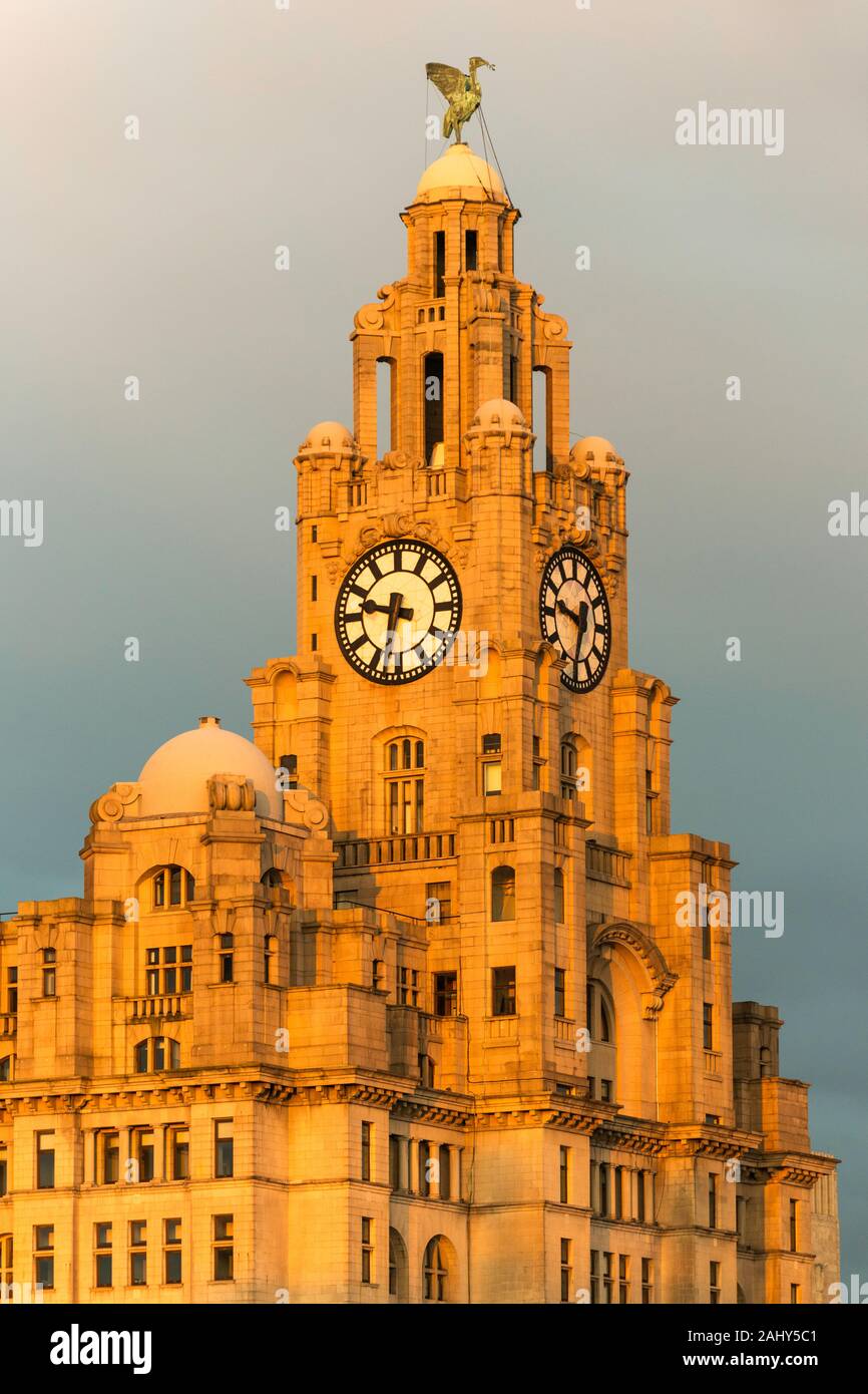 Il Royal Liver Building (1911) è un grado che ho elencato la costruzione su Pier Head, Liverpool, England, Regno Unito Foto Stock