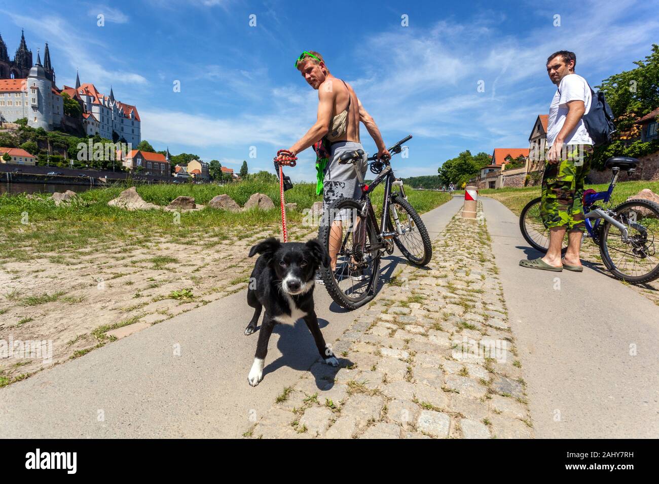 Due uomini con moto e cane sul guinzaglio Germania pista ciclabile lungo il fiume Elba Meissen Sassonia ciclista cane Foto Stock